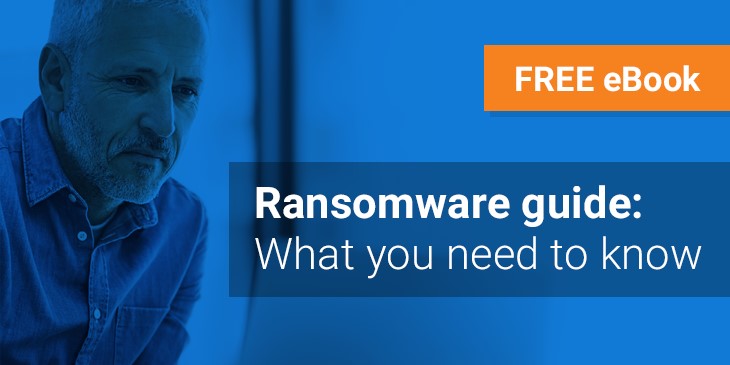 Understanding and dealing with ransomware